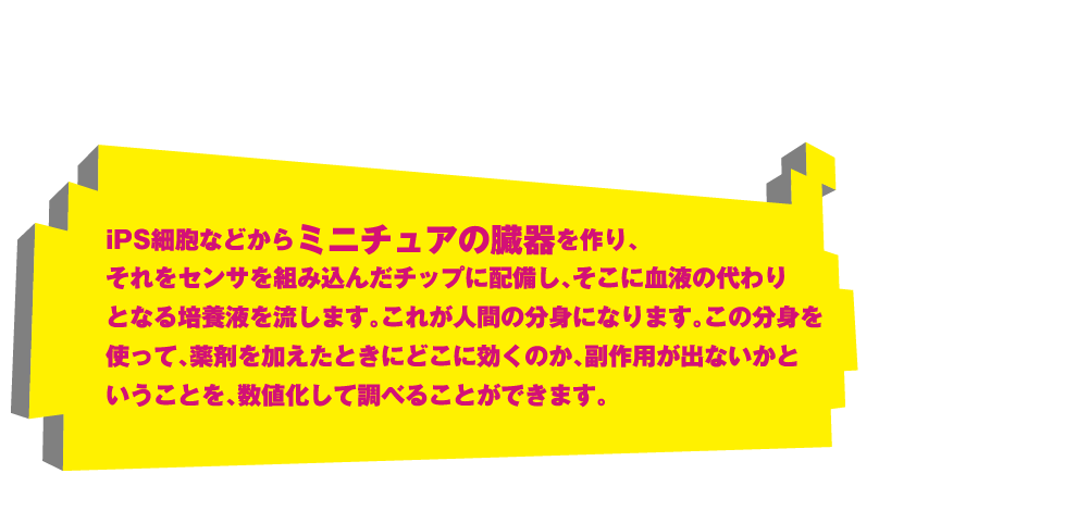 iPS細胞などからミニチュアの臓器を作り、それをセンサを組み込んだチップに配備し、そこに血液の代わりとなる培養液を流します。これが人間の分身になります。この分身を使って、薬剤を加えたときにどこに効くのか、副作用が出ないかということを、数値化して調べることができます。