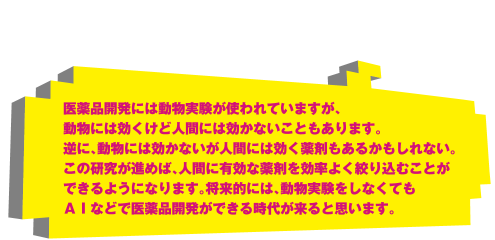 医薬品開発には動物実験が使われていますが、動物には効くけど人間には効かないこともあります。逆に、動物には効かないが人間には効く薬剤もあるかもしれない。この研究が進めば、人間に有効な薬剤を効率よく絞り込むことができるようになります。将来的には、動物実験をしなくてもＡＩなどで医薬品開発ができる時代が来ると思います。