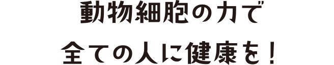 動物細胞の力で全ての人に健康を!