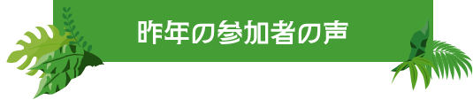 昨年の参加者の声