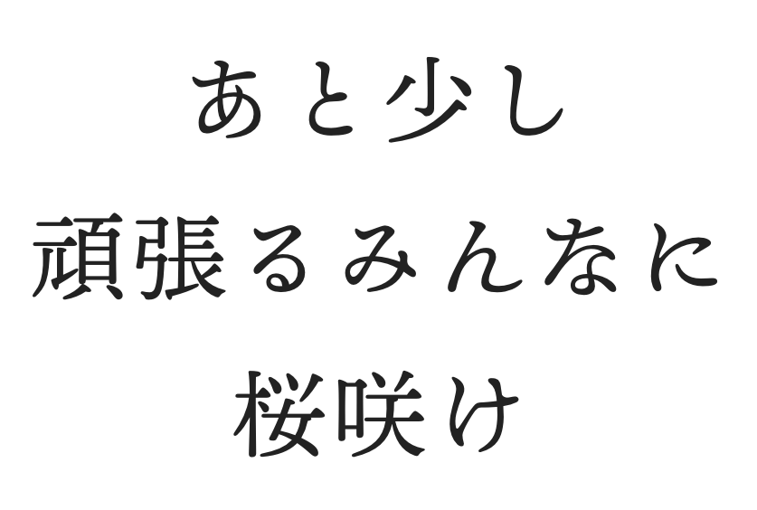 あと少し。頑張るみんなに桜咲け。