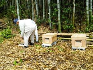 20140612_hachi-subako-secchi.jpg