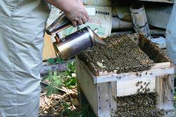 20150601_youhou-project.jpg