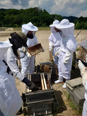 20260612_honey1.png