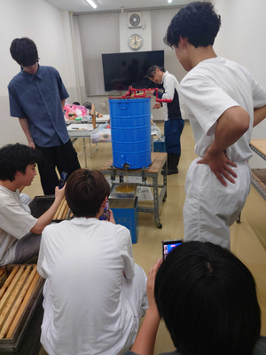 20260612_honey2.png