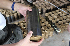 Can our future rely on palm wastes?(JST:Japan Science and Technology Agency)