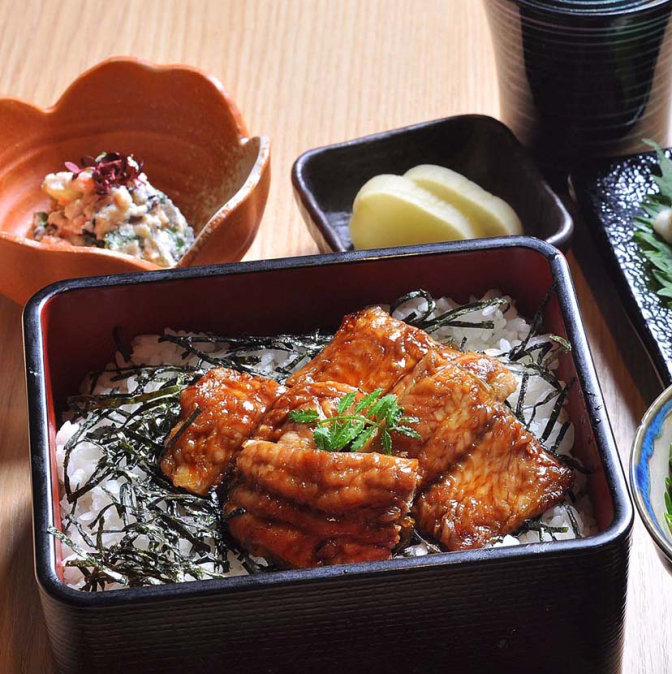 Kinki University Farms Catfish That Taste Like Eel