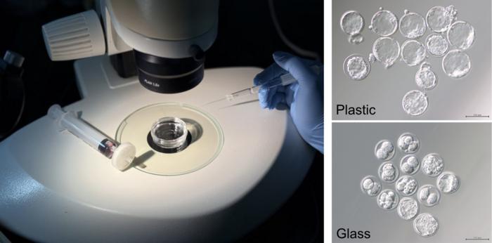 Discovered zinc eluted from glassware inhibits the embryo development: Leading to development of safer and more effective IVF -- Kindai University