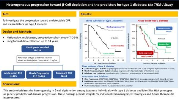 New genetic clues explain speed of insulin depletion in Japanese patients with type 1 diabetes