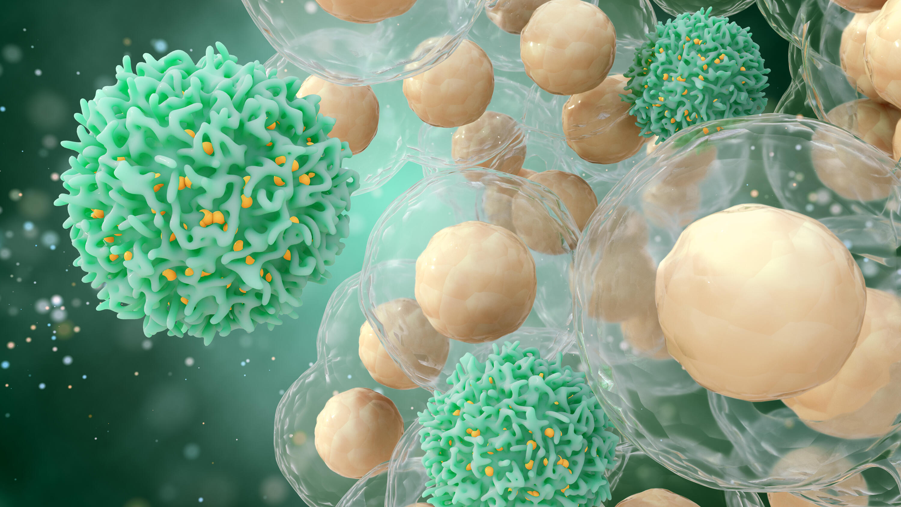 A new program to classify solid tumors into eight genomic subtypes: Leading to predictive response analysis for cancer tumor ICI efficacy -- Kindai University