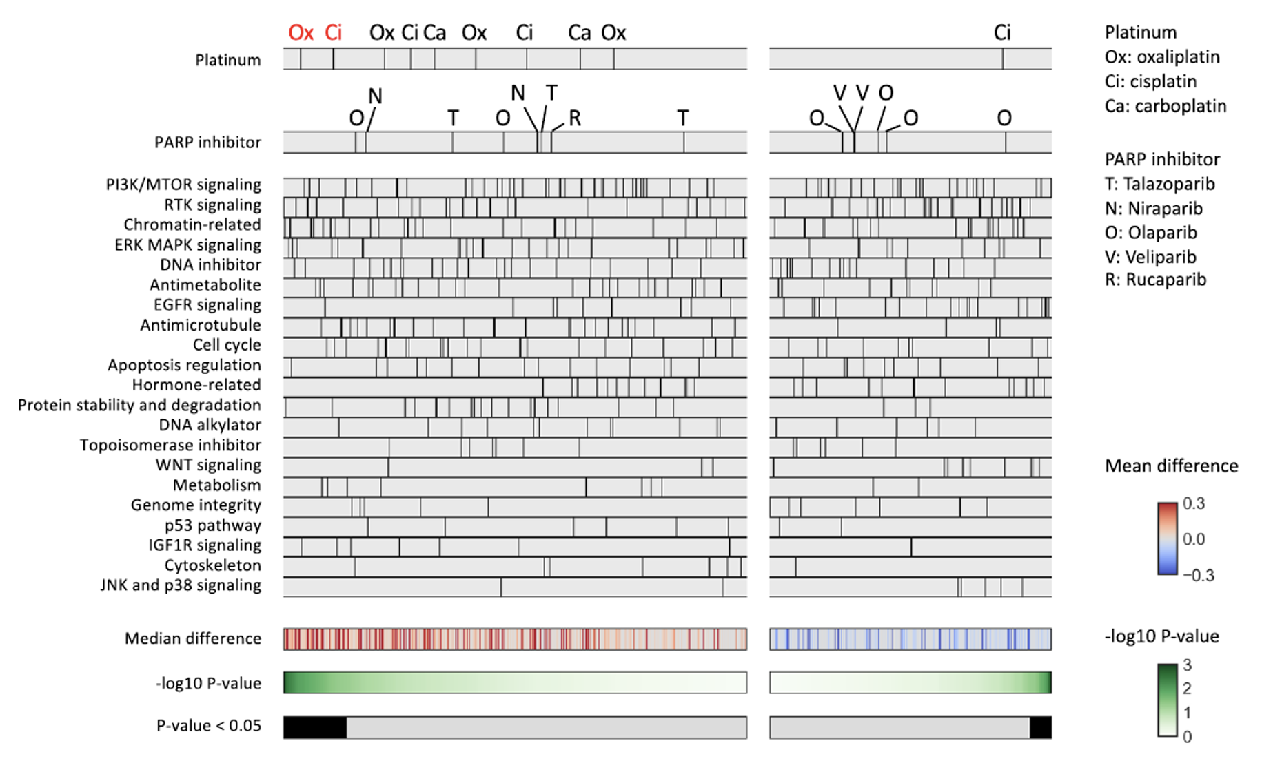 Unveiling the limitations of drug sensitivity analyses involving cancer cell lines -- Kindai University