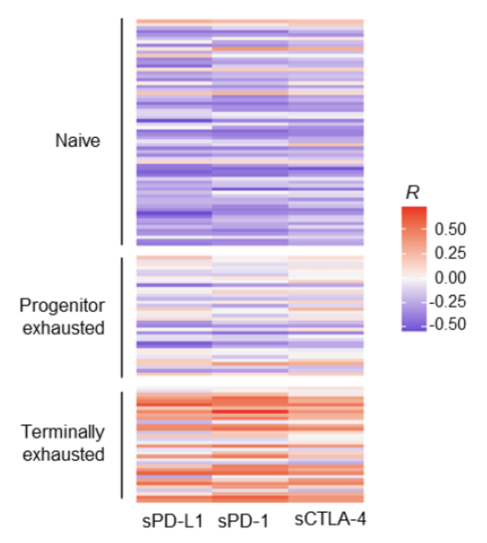 Soluble immune checkpoint factors in blood as potential biomarkers of therapeutic efficacy for ICI cancer immunotherapy and assessing t-cell exhaustion -- Kindai University