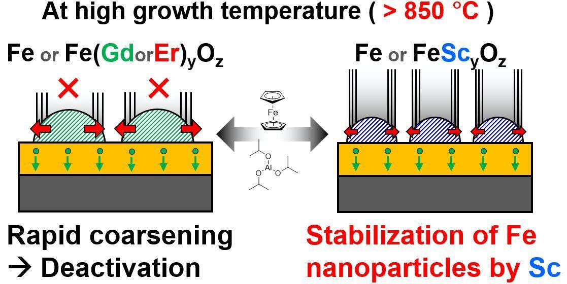 New iron-scandium catalyst extends carbon nanotube growth at high temperatures