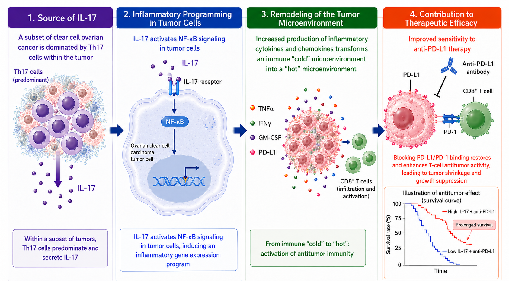 Immunotherapy found effective against a subtype of difficult-to-treat ovarian cancer