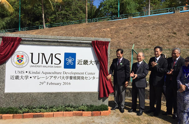 Kinki University to study 'full farming' of Southeast Asian eels with Malaysian school(Source: The Japan Times)