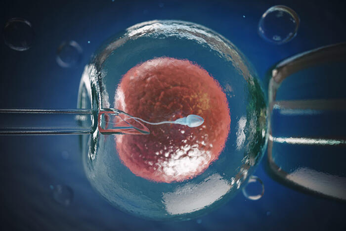The effect of ovarian stimulation on IVF outcomes | Drug Target Review