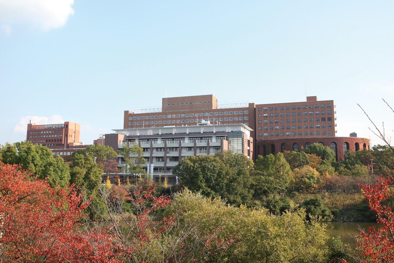 International commission calls for action against hepatocellular carcinoma | News-Medical