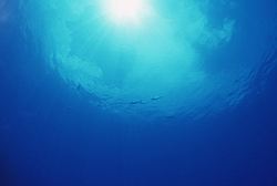 Hatchery technologies leading the Blue Revolution