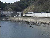Susami Branch, Shirahama Station, Aquaculture Research Institute
