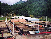 Nakahechi Experiment Station