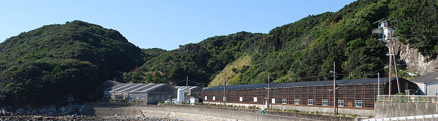 Susami Branch, Shirahama Station, Aquaculture Research Institute