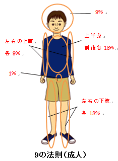 9の法則（成人）