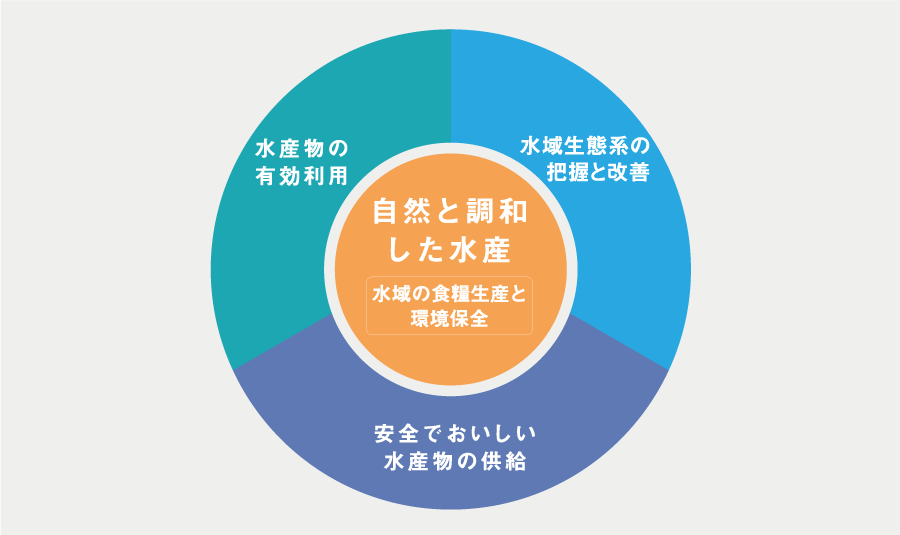 体験型講義などを通して、幅広い分野を網羅した水産学のプロを養成