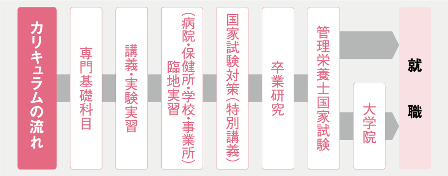 医療・福祉分野や、地域の行政、保健施設などでも高度な栄養指導を行うことができるよう、さまざまな分野の科目を学び、「実践的な管理栄養士」を養成します。