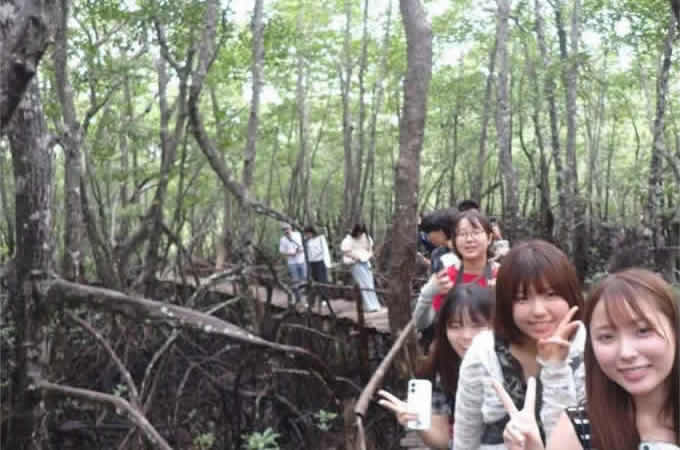 マングローブ林の重要性を体感
