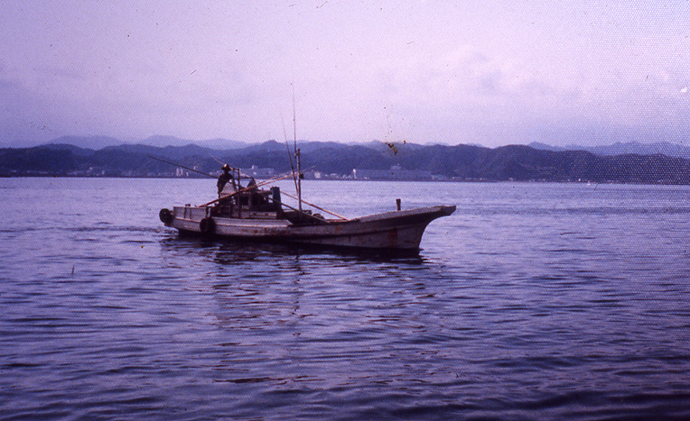 マグロ稚魚釣船（1970年頃）