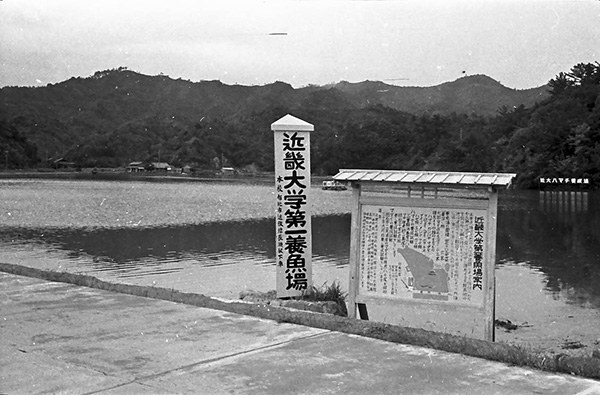 養殖研究のスタート地点となった第一養魚場