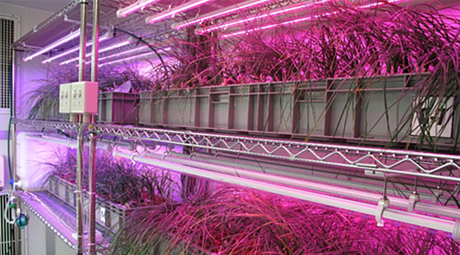 薬学総合研究所イメージスライド2