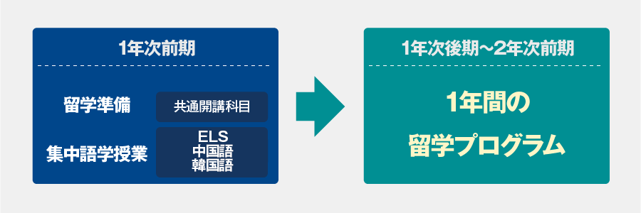 全学生が1年間の海外留学プログラムに参加