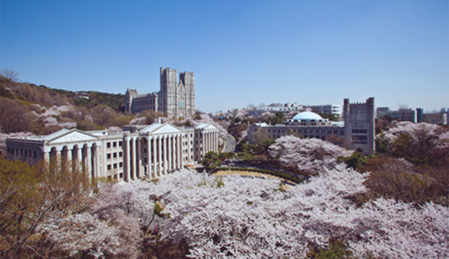 慶煕大学　キョンヒ大学