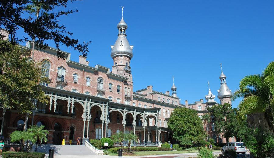 タンパ大学