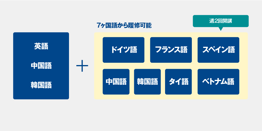 広く深く学べる充実の第二外国語