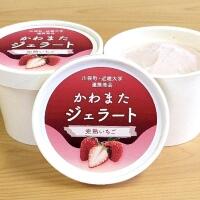 かわまたジェラート 完熟いちご