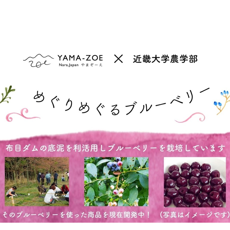 無添加ブルーベリーキャンディ