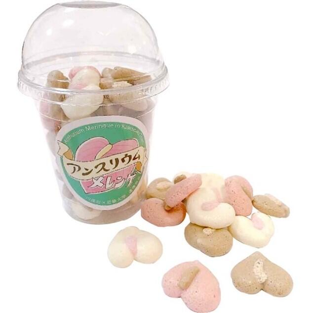 アンスリウムメレンゲ