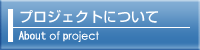 プロジェクトについて