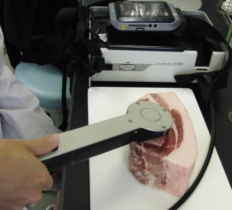 「豚肉の食味に対する科学的評価法に関する研究」が農林水産業・食品産業科学技術推進事業に採択　-新たな肉質評価技術でおいしい国産豚肉を- 近畿大学生物理工学部