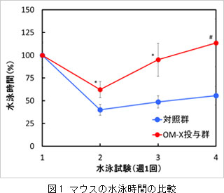 植物発酵エキス「OM-X」に筋持久力向上効果を発見！近畿大学農学部水産学科講師・伊藤智広らの研究成果