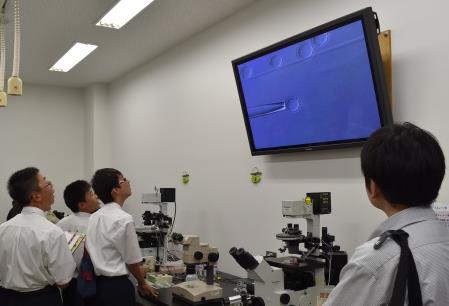 生物理工学部オープンキャンパス2017　大学でしか体験できない最先端の研究を紹介　子ども科学体験教室も開催