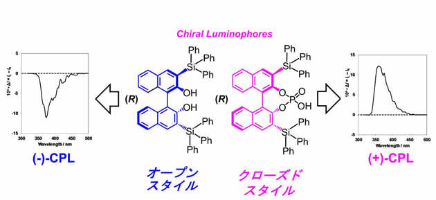 固体状態で円偏光を放つCPL※発光体を開発　3D有機ELディスプレイや植物成長制御用LEDライトの省電力化に期待