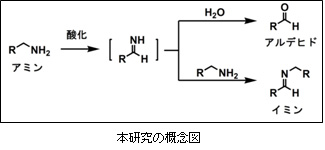 太陽光をエネルギー源とした物質変換の新発見！近畿大学理工学部応用化学科教授・多田弘明らの研究成果