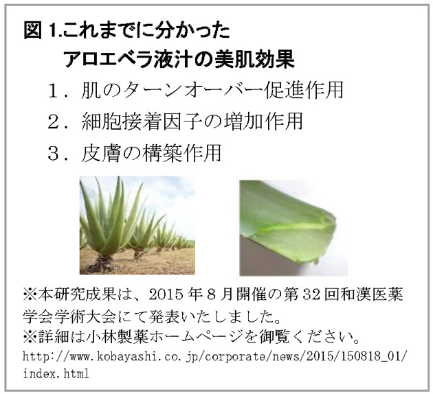 美肌効果の解明が進むアロエベラ液汁　新たに加水分解ヒアルロン酸の皮膚浸透を高める効果を発見