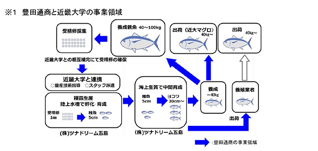 日本品質の持続可能な完全養殖魚を世界へ　～完全養殖「近大マグロ」、海外へ輸出開始～