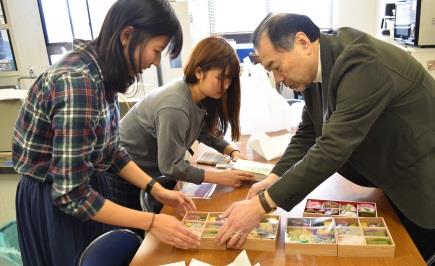 学生が「和歌山だから作れるお弁当」を考案　11/23（木・祝）「食祭WAKAYAMA2017」にて限定販売