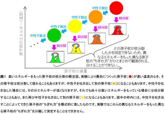 核分裂における原子核のさまざまな"ちぎれ方"を捉える　－放射性物質の毒性低減に貢献－