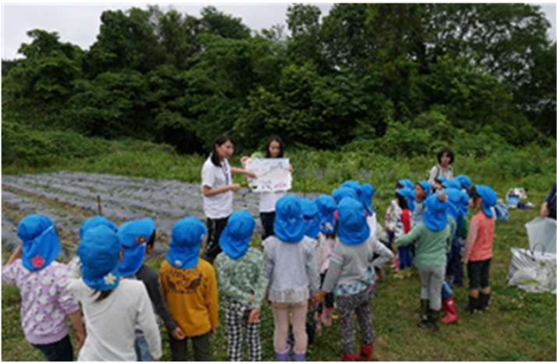 「いこまこども園」園児に食育イベントを実施　「さつまいもの苗植え」と「淡水魚展」を体験・見学<br />